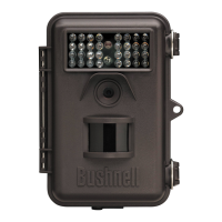 Preview: Bushnell 119636