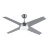 Fan Logo