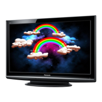 Preview: Panasonic TH-P42S10A