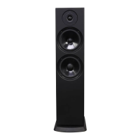 Preview: Meridian A500