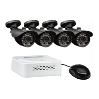 Preview: Cocoon HE150242