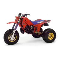 Preview: Honda ATC250R