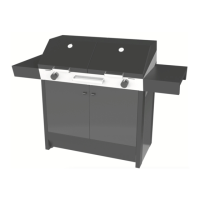 Preview: Cadac BRAAIMAXX 98504