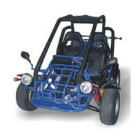 Preview: Dazon Raider Max 175-S