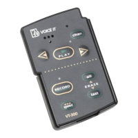 Preview: Voice It VT-300
