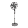 Fan Logo