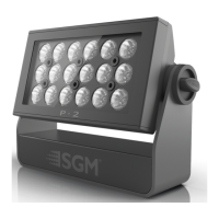 Preview: SGM P-2