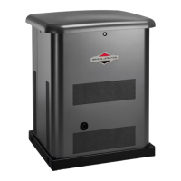 Preview: Briggs & Stratton 040517-00