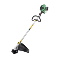 Preview: Hitachi CG 22EAP2 (SL)