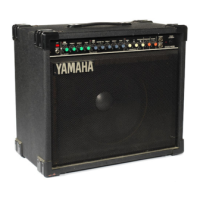Preview: Yamaha G100-112III