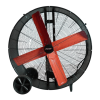 Fan Logo