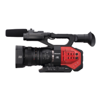 Preview: Panasonic AG-DVX200PJ