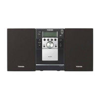 Preview: Toshiba TY-AS100TW