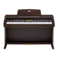 Preview: Casio AP-80R