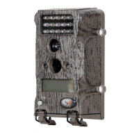 Preview: Wildgame t5i20