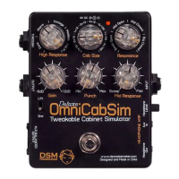 Preview: DSM omnicabsim