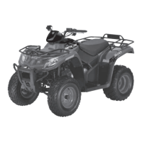 Preview: Arctic Cat ATV 300 DVX