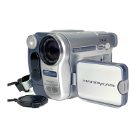 Preview: Sony Handycam DCR-TRV270E