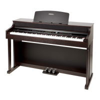 Preview: Medeli DP388