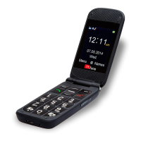 Preview: ttfone TT700