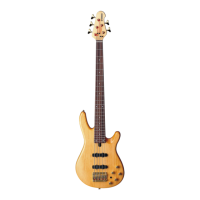 Preview: Yamaha BB604