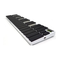 Preview: Alternate Mode malletKAT PRO