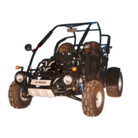 Preview: PGO Bug Rider BR-250