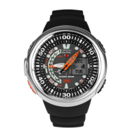 Preview: Citizen JV0000-01E