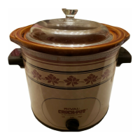 Preview: Rival Crock-Pot 3250