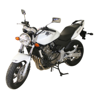 Preview: Honda 1998 CB600Fw