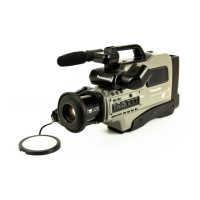 Preview: Panasonic AG-196UP
