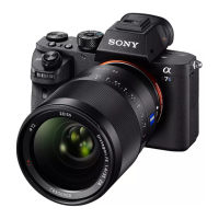Preview: Sony Alpha A7s2