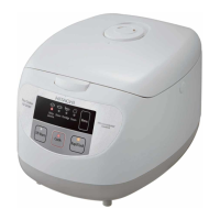 Preview: Hitachi RZ-PMA10Y