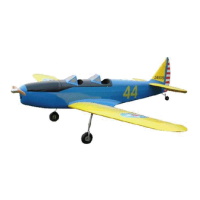 Preview: CYmodel PT-19 CY8023B