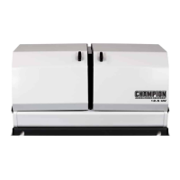 Preview: Champion Power Equipment 100136