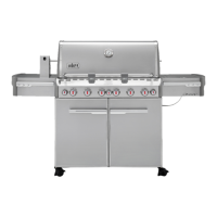 Preview: Weber Summit 670
