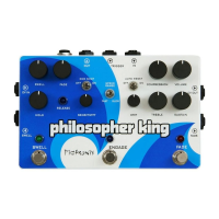 Preview: pigtronix philosopher king