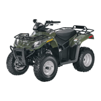 Preview: ATV 300 Utility/DVX 300 2011