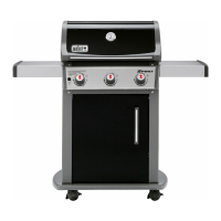 Preview: Weber Spirit E-210