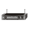 Microphone system Logo
