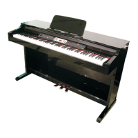 Preview: thomann DP 40 BP