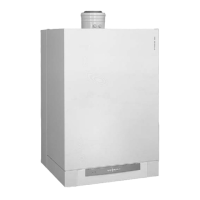 Preview: Viessmann VITODENS 300 WB3A