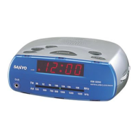 Preview: Sanyo RM-5090