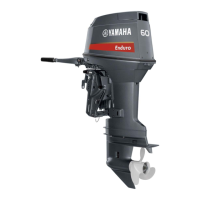 Preview: Yamaha e60hmhd