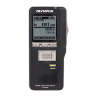 Preview: Olympus DS-5500