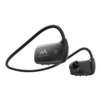Preview: Sony NWZ-WS613