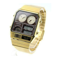 Preview: Citizen Ana-Digi Temp JG2