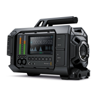 Preview: Blackmagicdesign Blackmagic URSA