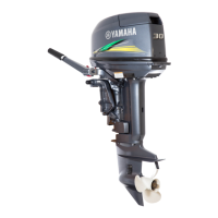 Preview: Yamaha 25BMH