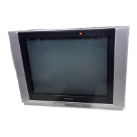Preview: Panasonic TX-29FG50A